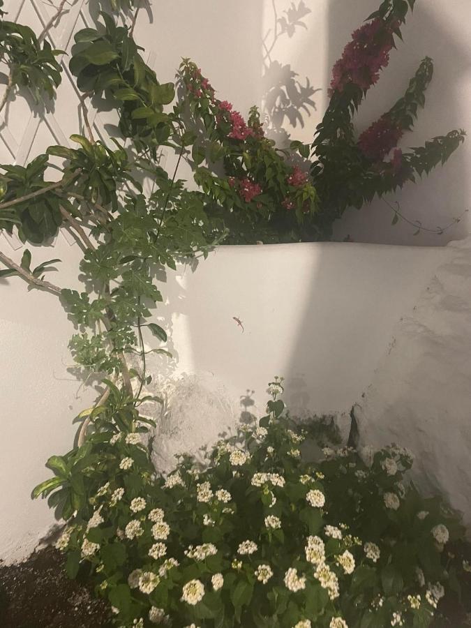 Appartement Ονειρόπετρα Λέρος~Oneiropetra Leros à Panteli Extérieur photo